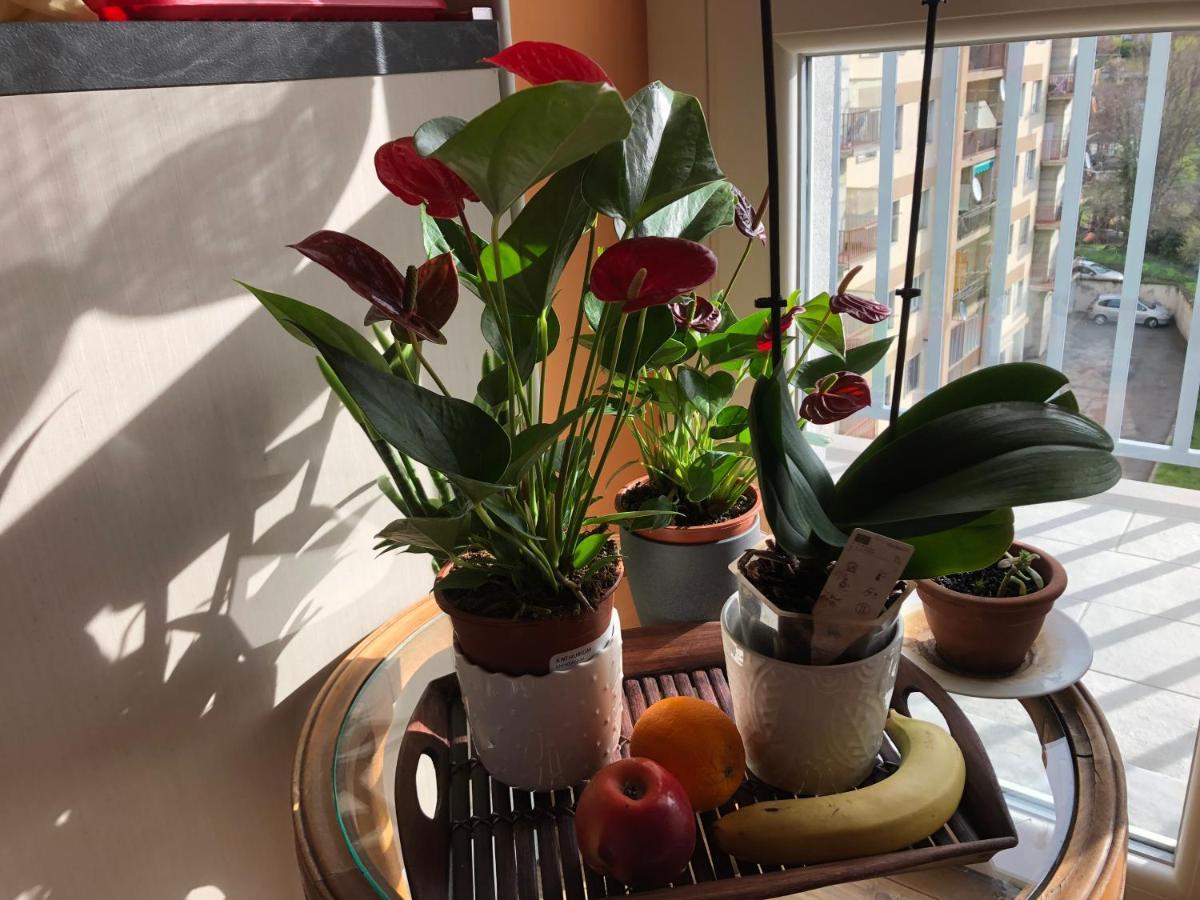 Attico Chez Renee Aosta Daire Dış mekan fotoğraf